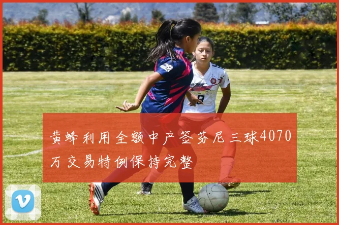 黄蜂利用全额中产签芬尼三球4070万交易特例保持完整
