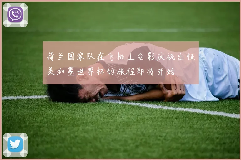 荷兰国家队在飞机上合影庆祝出征美加墨世界杯的旅程即将开始